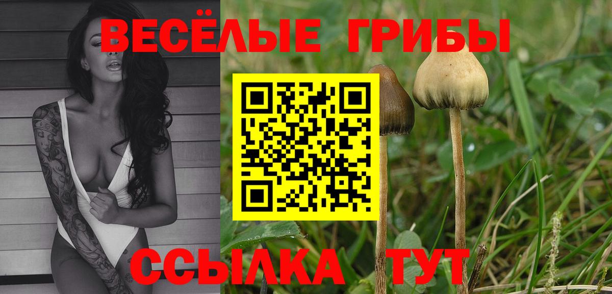 Галлюциногенные грибы Magic Shrooms Минусинск